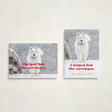 "Helping" - Holiday Cards in Chewed Stocking by Hudson meet Rose - Photo Orientation Options