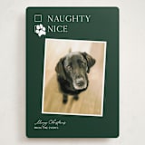 "Nice pup" - Holiday Cards in Forest by Kat Roberts - Front