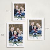 "Crimson Bow" - Holiday Cards in Blue Velvet by Olivia Kanaley Inman - Formats Available