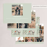 "Marker Script" - Holiday Cards in Holly by Baumbirdy - Back of Card Options