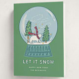 "Snow Globe" - Holiday Cards in Spearmint by Lauren Jinhee - Folded Card
