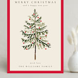 "Vintage Spruce" - Holiday Cards in Poinsettia by Amy Kross - Front