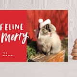 "Feline Merry" - Holiday Cards in Santa Suit by Chryssi Tsoupanarias - Front