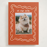 "wiggly lines" - Holiday Cards in Holly by Vera Lim - Front