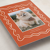 "wiggly lines" - Holiday Cards in Holly by Vera Lim - Detail