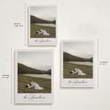 "Feature" - Holiday Cards in Mist by Nicole Walsh - Formats Available