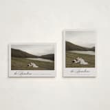 "Feature" - Holiday Cards in Mist by Nicole Walsh - Photo Orientation Options