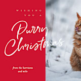 "purry christmas" - Holiday Cards in Holiday by Eric Clegg - Detail