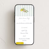"Amalfi Coast Wedding" - Online Party Invitations in Aqua by Chris Griffith - Mobile layout