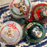 "Custom Hand-Painted Pet Ornaments with Large Name" - Ornaments in multicolorassorted-colors by Ashley Myers