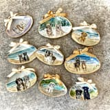 "Custom Pet Portrait Seashell Ornament" - Ornaments in multicolor by Laura Kinsella