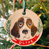 "Custom Pet Ornament" - Ornaments in multicolor by Sarah Fitzgerald