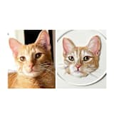 "Custom Pet Portrait Ornament, 3x3in. Round, Painting Commission" - Ornaments in multicolor by The Pink Parakeet