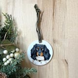 "Hand-painted Pet Portrait Ceramic Ornament" - Ornaments in multicolor by Holly Whitcomb