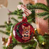 "Custom Hand-Painted Pet Ornament" - Ornaments in multicolorassorted-colors by Ashley Myers