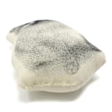 "Silkscreen Pomeranian Ornament" - Ornaments in beige by Broderpress