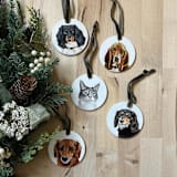 "Hand-painted Pet Portrait Ceramic Ornament" - Ornaments in multicolor by Holly Whitcomb