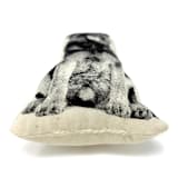 "Silkscreen German Shepherd Ornament" - Ornaments in beige by Broderpress