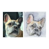 "Custom Pet Portrait Ornament, 2.7x2.7in. Watercolor Commission" - Ornaments in gold by The Pink Parakeet