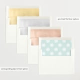 "Holiday Stockings" - Pregnancy Announcements in Frost by Shirley Lin Schneider - Envelope Liner Options
