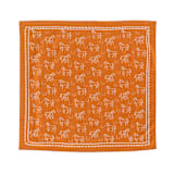 "Yeehaw "Horse" Bandana" - Party Favors in brown by Jollity and Co