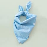 "Yeehaw "Sun" Bandana" - Party Favors in blue by Jollity and Co