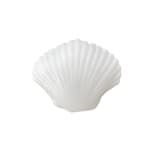 "Seaside Clamshell Squeeze Squishy - Set of 1" - Party Favors in white by Jollity and Co