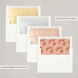 "A cake to celebrate" - Party Invitations in Peach by Hudson meet Rose - Envelope Liner Options