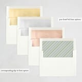 "Cheers!" - Party Invitations in Sage by Stephanie Hawkes - Envelope Liner Options