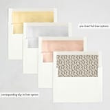 "Snapshots" - Party Invitations in Almond by Jessie Steury - Envelope Liner Options