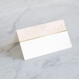 "Solaris" - Place Cards in Blush by Kristie Kern - Blank front