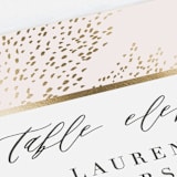"Solaris" - Place Cards in Blush by Kristie Kern - Detail