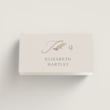 "Eloquent" - Place Cards in Ivory by Angela Thompson - Folded with Free Guest Printing