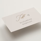 "Eloquent" - Place Cards in Ivory by Angela Thompson - Detail