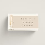 "Modern Serene" - Place Cards in Blush by Hannah Williams - Folded with Free Guest Printing