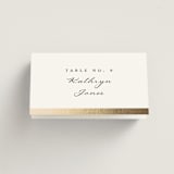 "Defined" - Place Cards in Snow by mo kelley - Folded with Free Guest Printing