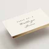 "Defined" - Place Cards in Snow by mo kelley - Detail