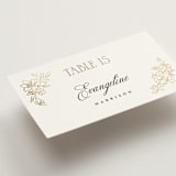 "Rococo" - Place Cards in Pearl by Jenna Holcomb - Detail