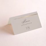 "Henley" - Place Cards in Quartz by Kristie Kern - Folded with Free Guest Printing