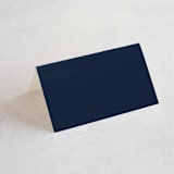 "Botanical Ampersand" - Place Cards in Navy by Hooray Creative - Blank front