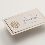 "Shraddha" - Place Cards in Celestial by Deynaaz Daraei - Detail