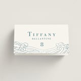 "waves" - Place Cards in Aqua by Jessie Steury - Folded with Free Guest Printing