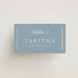 "Elegant bevel" - Place Cards in Dusty Blue by Stacey Meacham - Front with Free Guest Printing