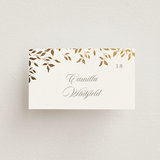 "Aperol" - Place Cards in Chiffon by Kristie Kern - Front with Free Guest Printing