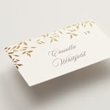 "Aperol" - Place Cards in Chiffon by Kristie Kern - Detail