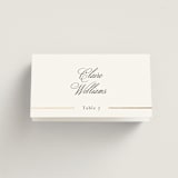 "Aligned" - Place Cards in Spun Sugar by Jessica Williams - Folded with Free Guest Printing