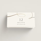"Forever And" - Place Cards in Snow by Jen Banks - Folded with Free Guest Printing