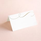 "Fantasia" - Place Cards in Sugar by Jessica Williams - Blank front