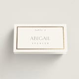 "Regal" - Place Cards in Porcelain by Nicole Walsh - Folded with Free Guest Printing