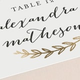 "Elegant Announcement" - Place Cards in Vanilla by Kelly Schmidt - Detail